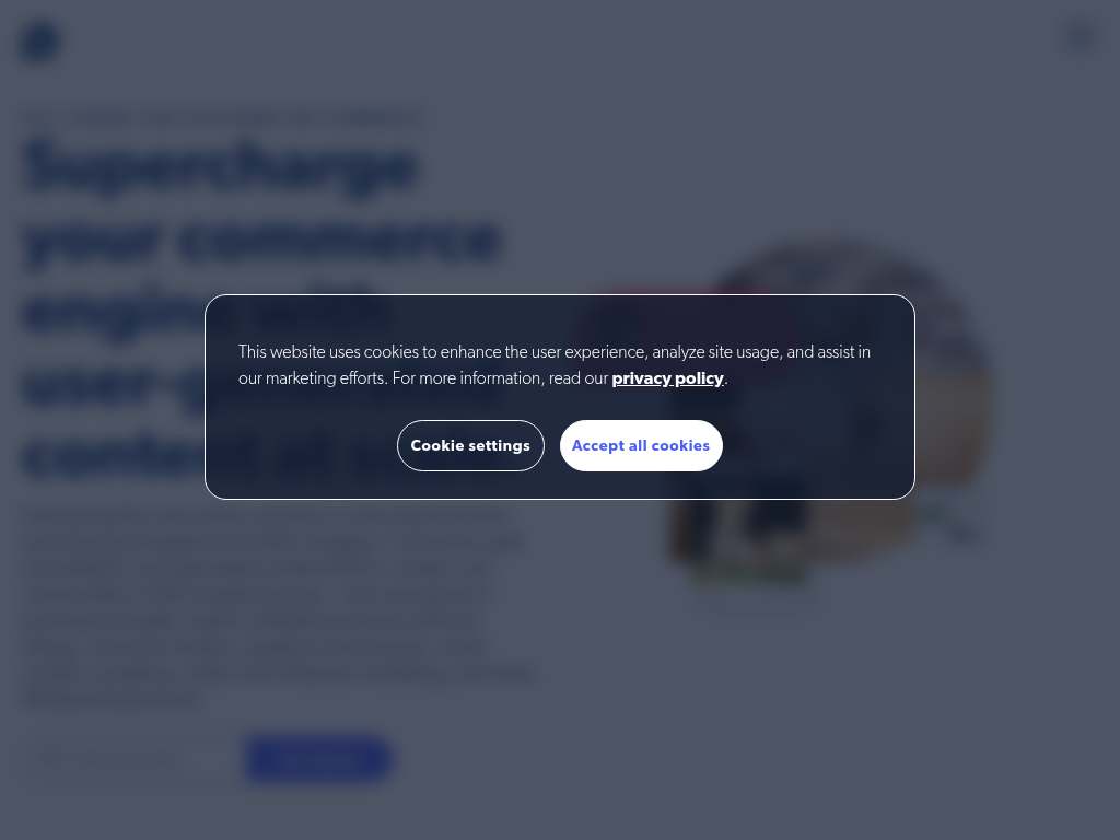 Screenshot for Bazaarvoice